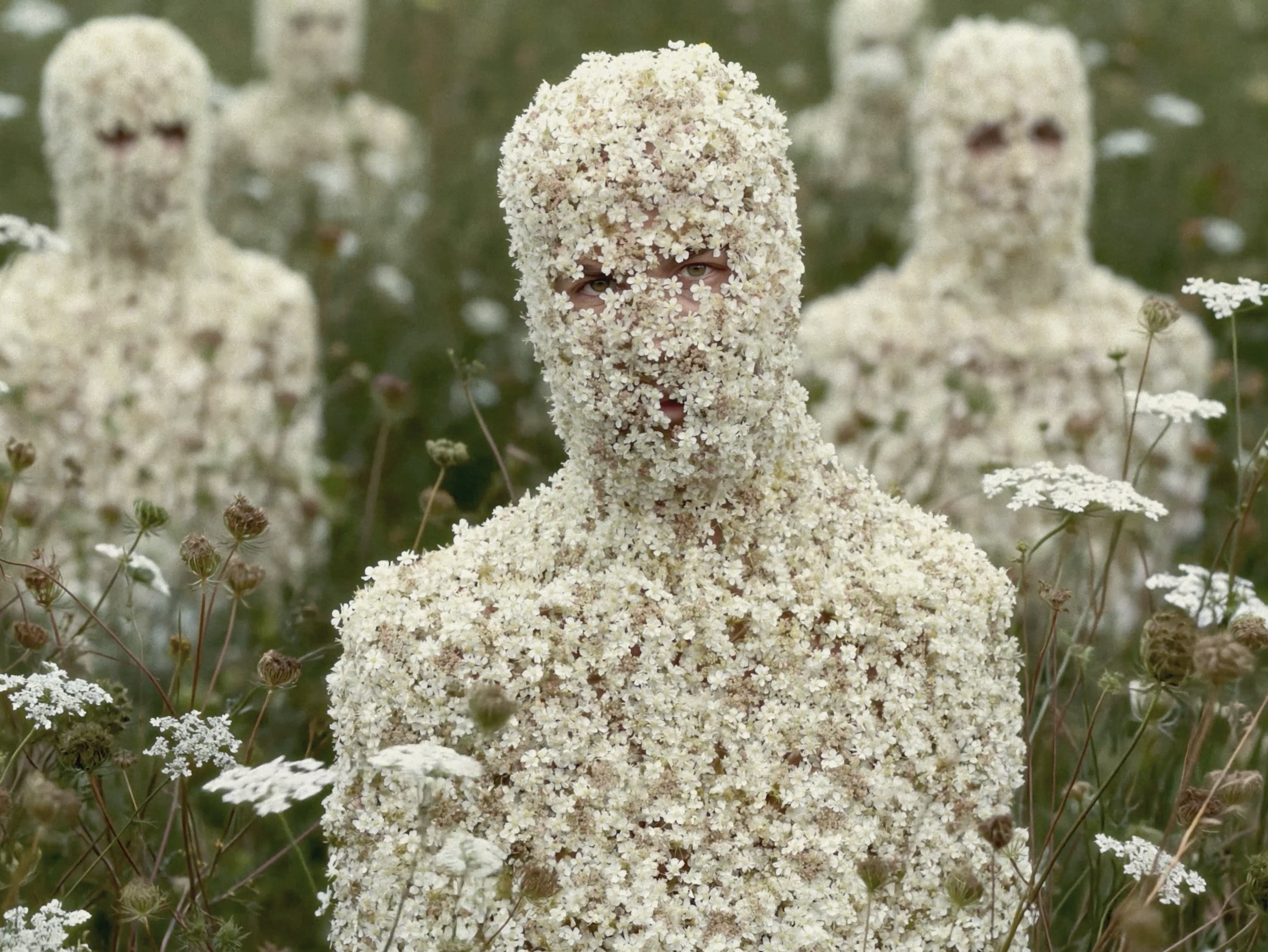 Nordic Nature