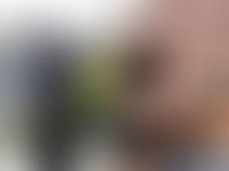 "De ser necesario vamos a enfrentarnos a la CSJ para que le dé justicia al pueblo", dice fiscal general Zelaya