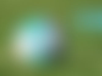 La Liga Nacional comenzará el martes 22 de julio tras la reincorporación de Platense. La FFH anunciará el nuevo calendario el lunes 21.