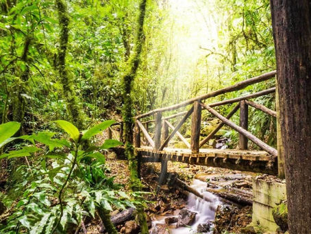 ¿En esta Semana Santa quieres hacer turismo de aventura?: Visita el Parque Nacional La Tigra