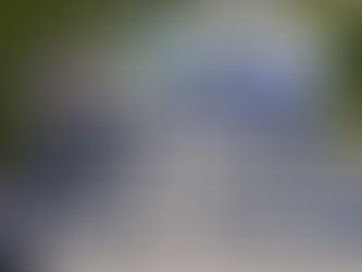 Presidenta Castro entrega flota vehicular a la Policía, también hizo un llamado a elecciones transparentes