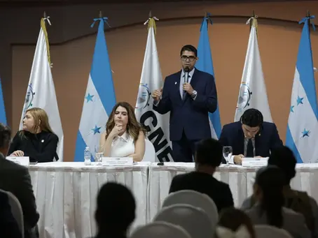 CNE pedirá más tiempo si falla el proceso de adjudicación del TREP 