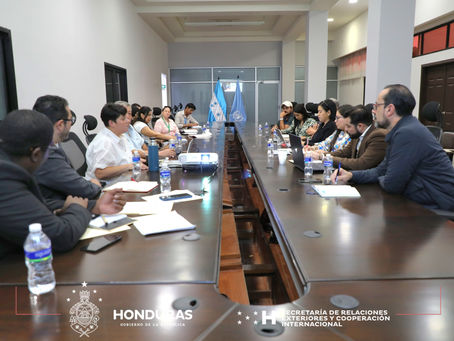 Honduras y la OIEA unen fuerza para combatir el dengue