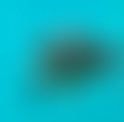 Mar 30th - Le Port, Reunion