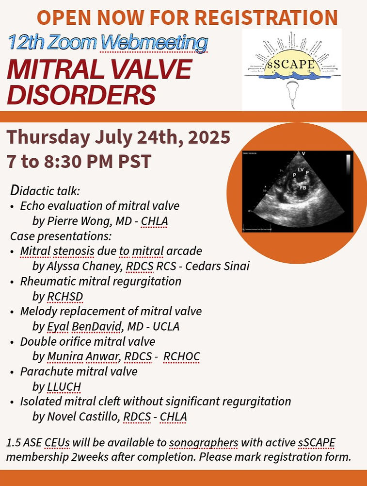meeting 12 mitral valve.jpg