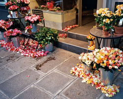paris-flowers-16x20-021_25.jpg