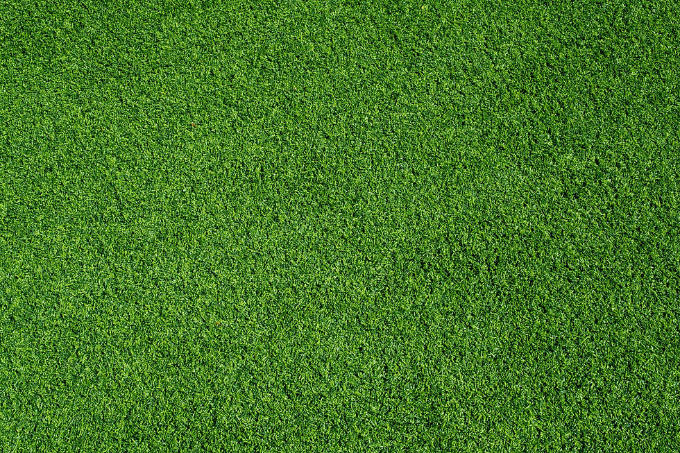 Green-Green-Grass-Background.jpg