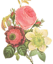 花のイラスト
