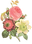 花のイラスト