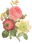 花のイラスト