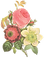 Flower Illustration