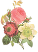 花のイラスト