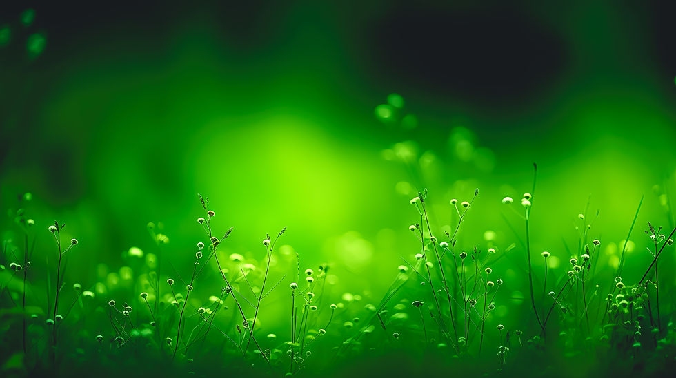 abstract-blurred-background-with-plants-generative-ai.jpg