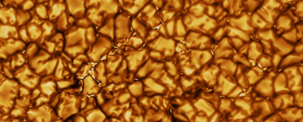 solar-cells_1024.gif