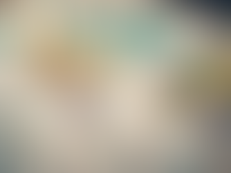 Building a Global Support Network with Vila App