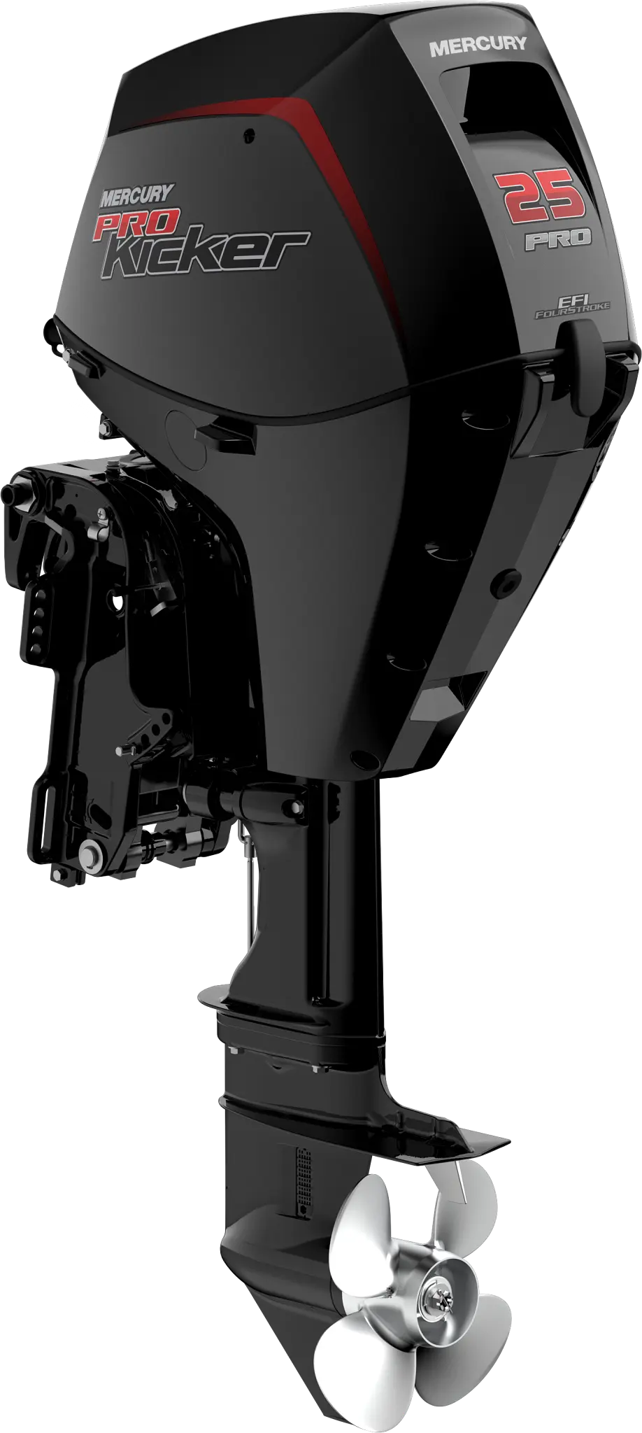 Close up of Mercury 25 ProKicker tiller handle and controls