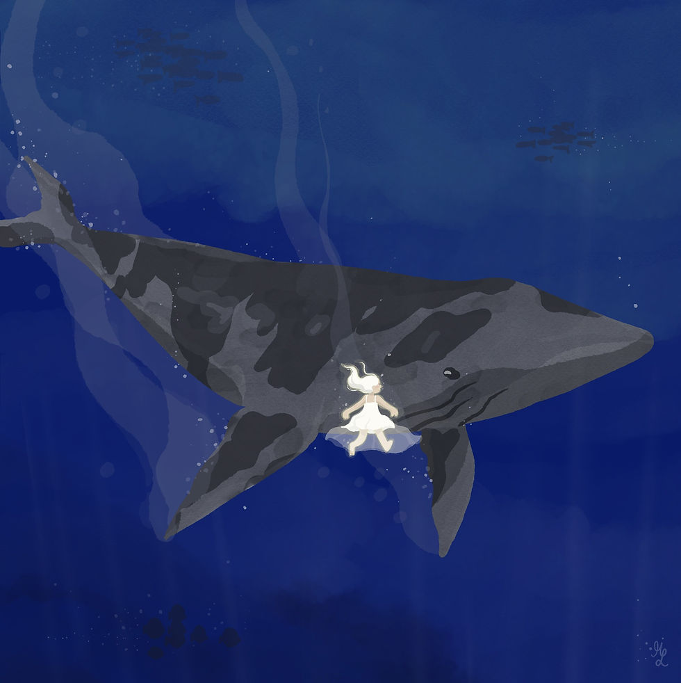 Baleine