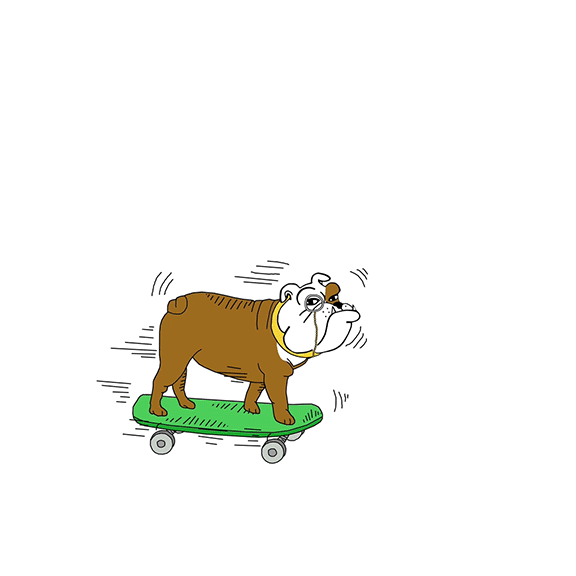 GIF-bulldog-on-the-road.gif