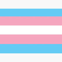 Trans Enough
