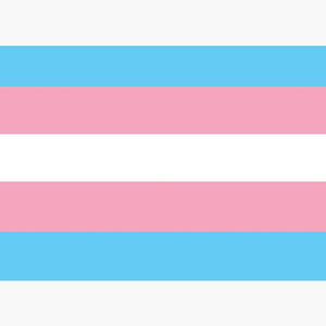 Trans Enough