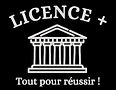 Nouveau logo licence +_edited.jpg