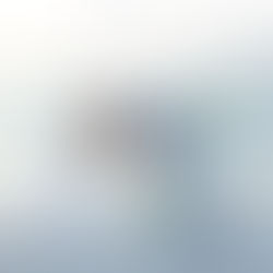 Sand Key Beach | Elopement Location in Clearwater, Florida