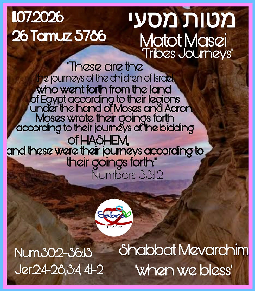 מטות  מסעי 5786.jpg