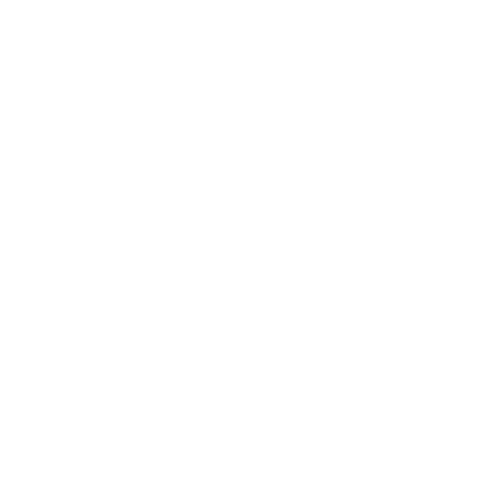 IMG_4157.png