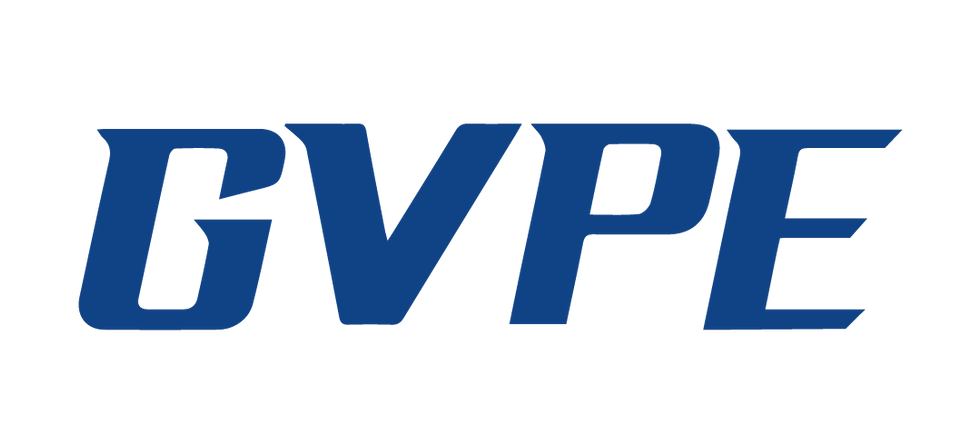 Gestores vehículares profesionales