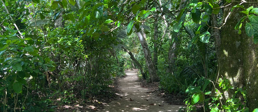 Cahuita NP – Unser Park ist in Gefahr