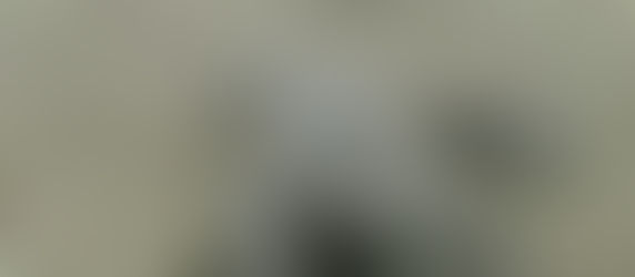 Die traurige Wahrheit