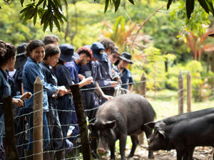 TURISMO AGROINDUSTRIAL