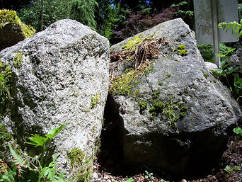 Boulder are the PTSD lesion at rest where all the enemy tubules are hidding behind the cell body and out of firing range until you get them to stand up and then you can shoot them off!