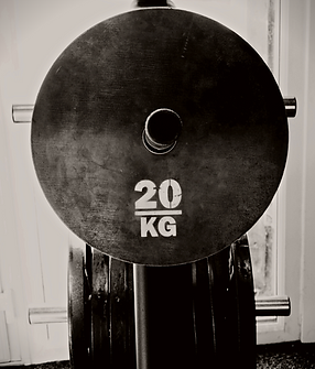 A 20kg Weight Plate at MyoGym