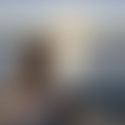 Woman sitting by the water at sunset, looking toward the horizon