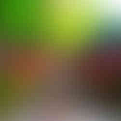 Santuario Kifune, Sakyō-ku, Kioto, Japón