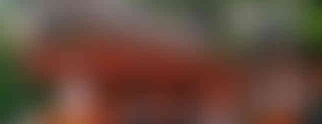 Fushimi Inari Taisha, Kioto, Japón