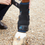 Miniature : Premier Equine - Guêtres cold water compression