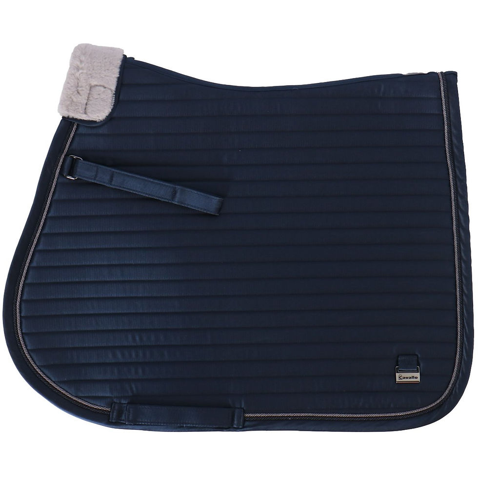 Cavallo - Tapis Jule bleu marine mixte