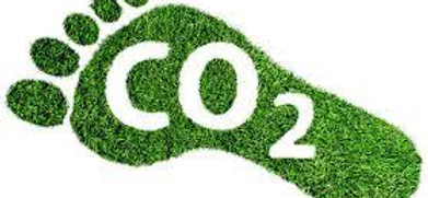 carbon footprint.jpg