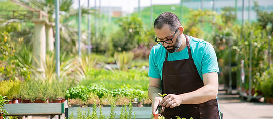 focused-professional-gardener-repotting-sprouts-using-shovel-digging-soil-front-view-low-a