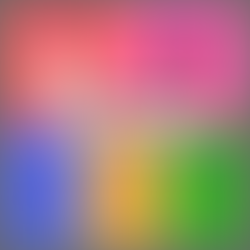 The Five Senses Countdown