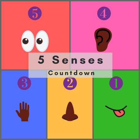 The Five Senses Countdown