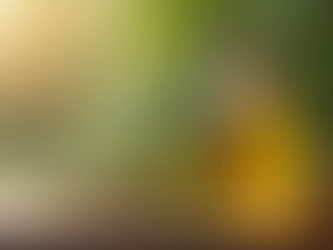 Indulge in Holiday Bliss with Nourishing Body Oils for Skin and Soul