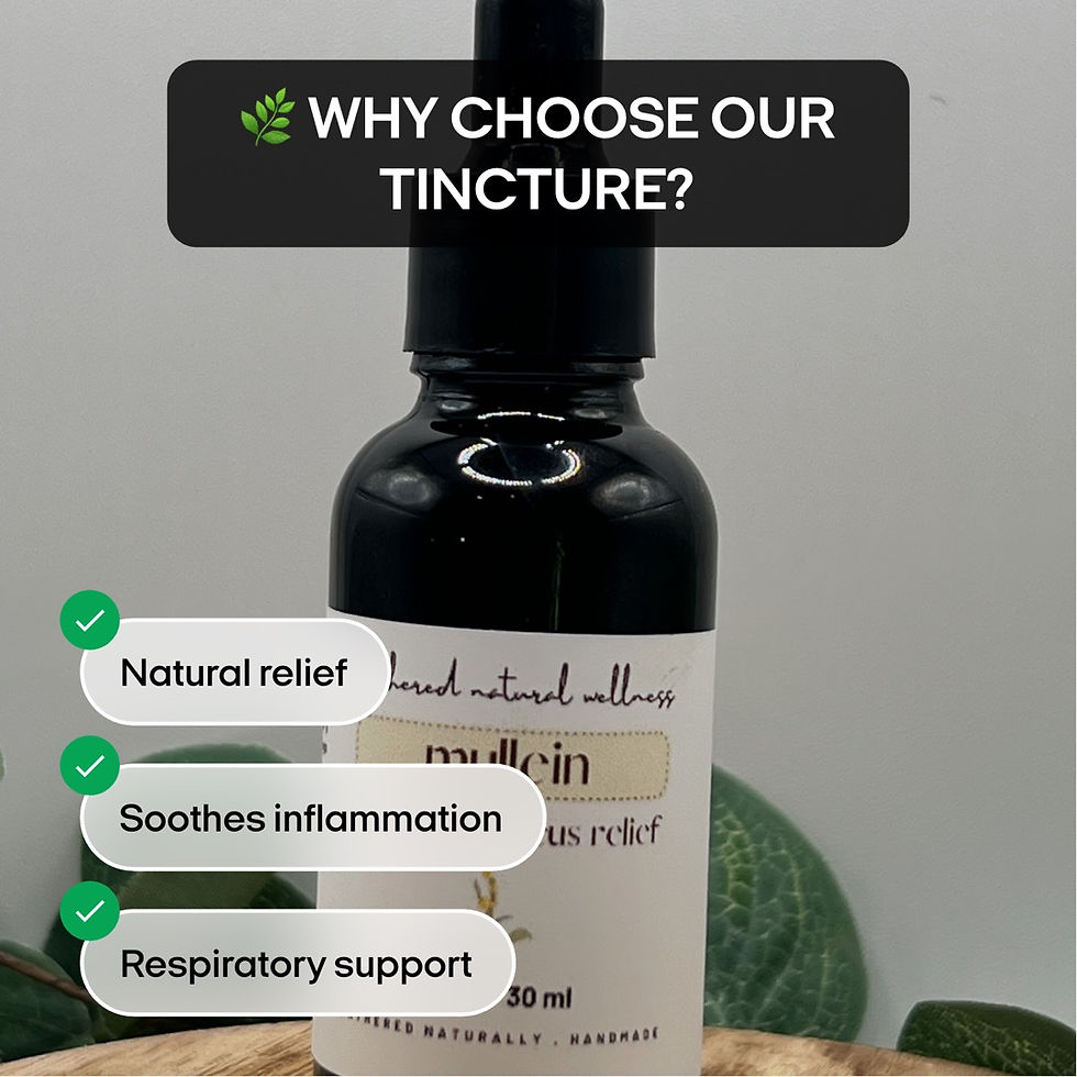 Thumbnail: Mullein Tincture Sinus & Congestion Herbal Remedy