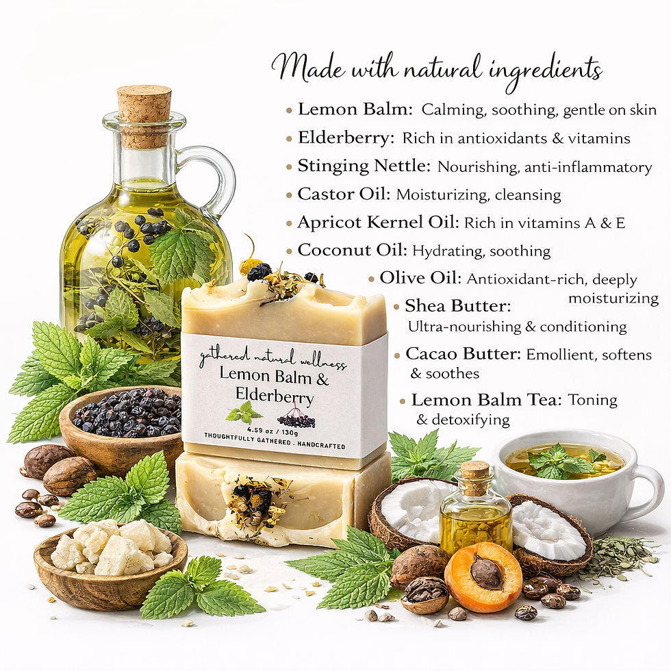 Thumbnail: Illustration on the ingredients on lemon balm nettle and elderberry soap from gathered natural wellness with the benefits l