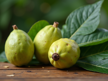 Soursop Tincture Benefits for Your Health and Wellness