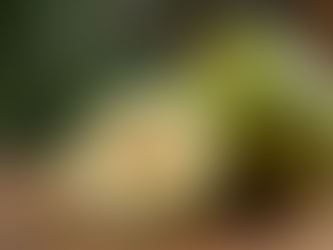 Soursop Tincture and its benefits