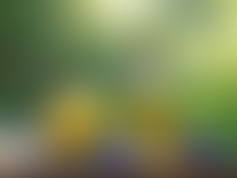 Natural Remedies for Anxiety Relief with Gathered Natural Wellness Daytime Tincture