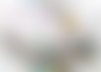 Rouge Gorge en Hiver